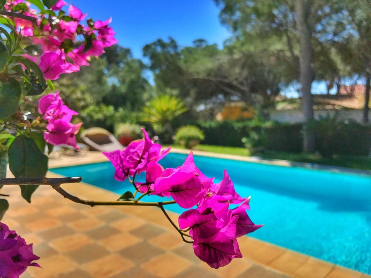 Bed & Breakfast El Nacar