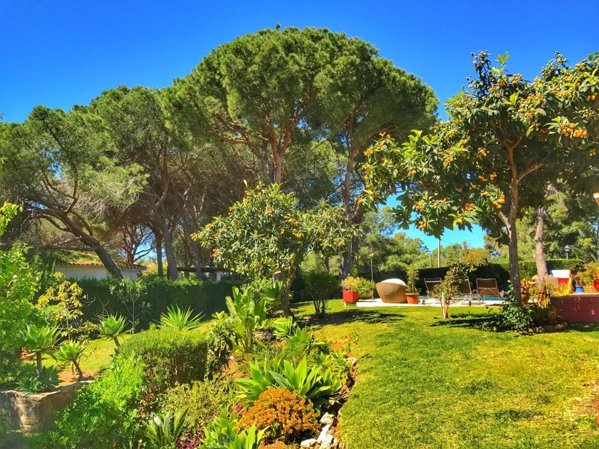 Bed & Breakfast El Nacar *